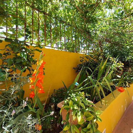 Casa Maestro Lelo - Acogedora Casa Rural Canaria Con Patios Y Jardines De Flores Las Palmas de Gran Canaria Exteriér fotografie