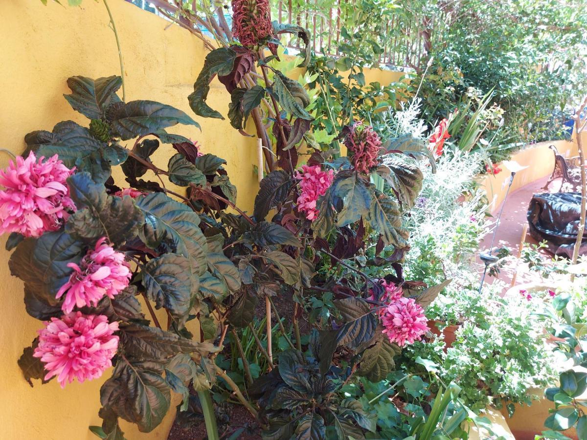 Casa Maestro Lelo - Acogedora Casa Rural Canaria Con Patios Y Jardines De Flores Las Palmas de Gran Canaria Exteriér fotografie