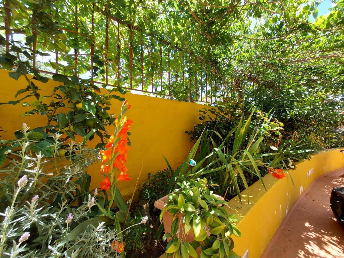 Casa Maestro Lelo - Acogedora Casa Rural Canaria Con Patios Y Jardines De Flores Las Palmas de Gran Canaria Exteriér fotografie